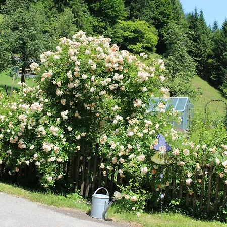 Urlaub Mitten Im Wald - Lueg Scheibbs Exterior photo