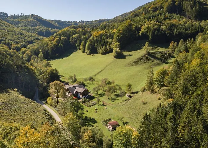 Urlaub Mitten Im Wald - Lueg