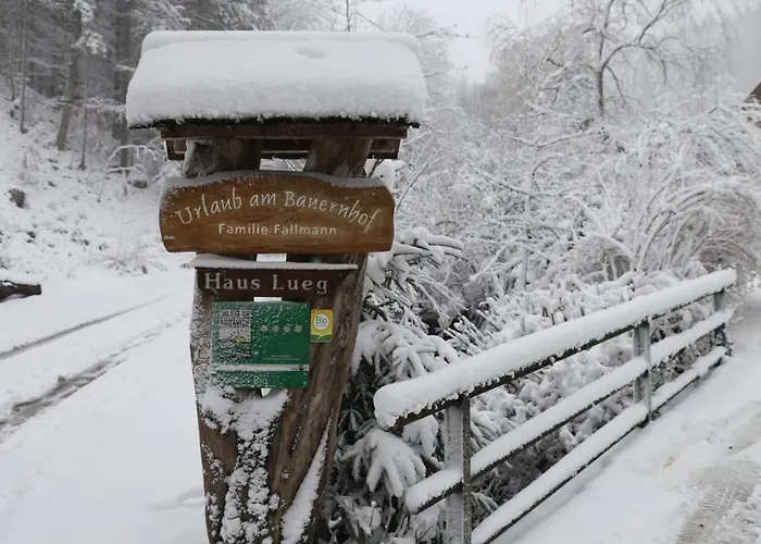 Urlaub Mitten Im Wald - Lueg