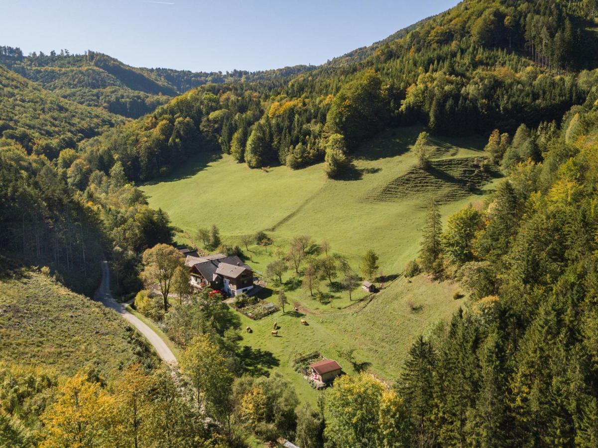 Apartment Urlaub Mitten Im Wald - Lueg