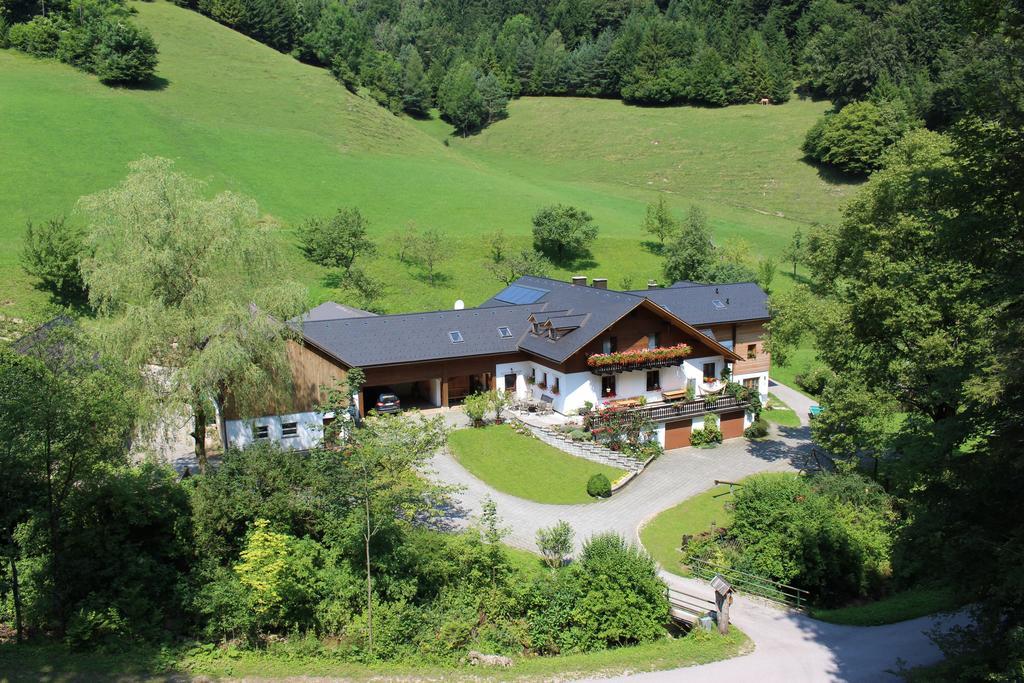 Urlaub Mitten Im Wald - Lueg *