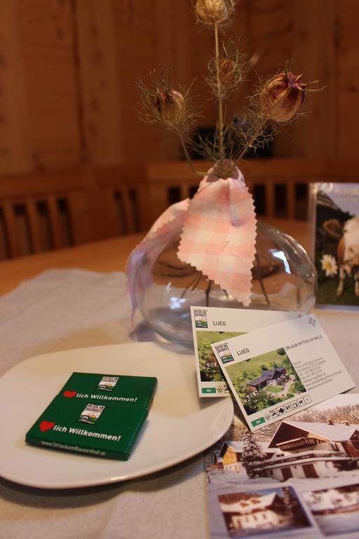 Urlaub Mitten Im Wald - Lueg Apartment
