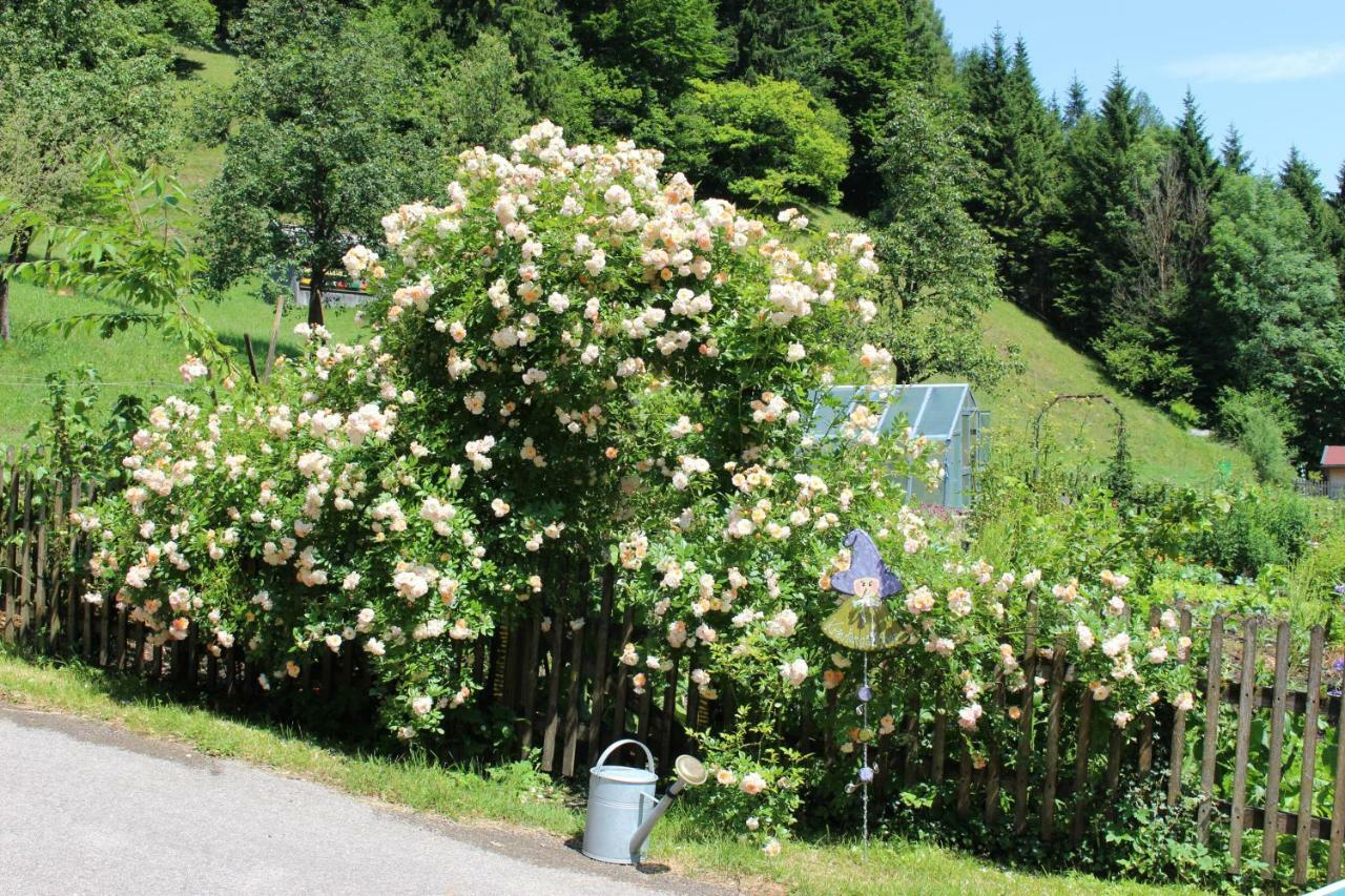 Urlaub Mitten Im Wald - Lueg Apartment *