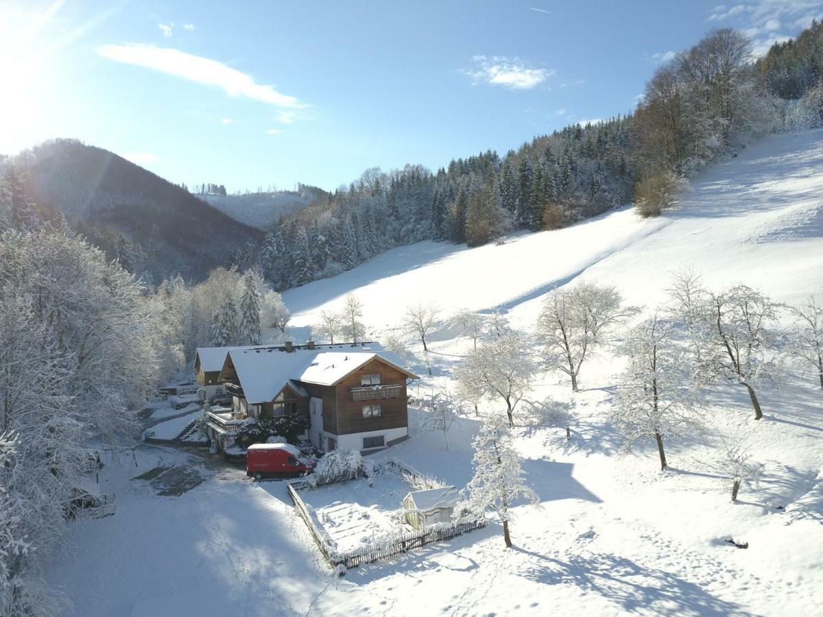 Urlaub Mitten Im Wald - Lueg Apartmán Scheibbs