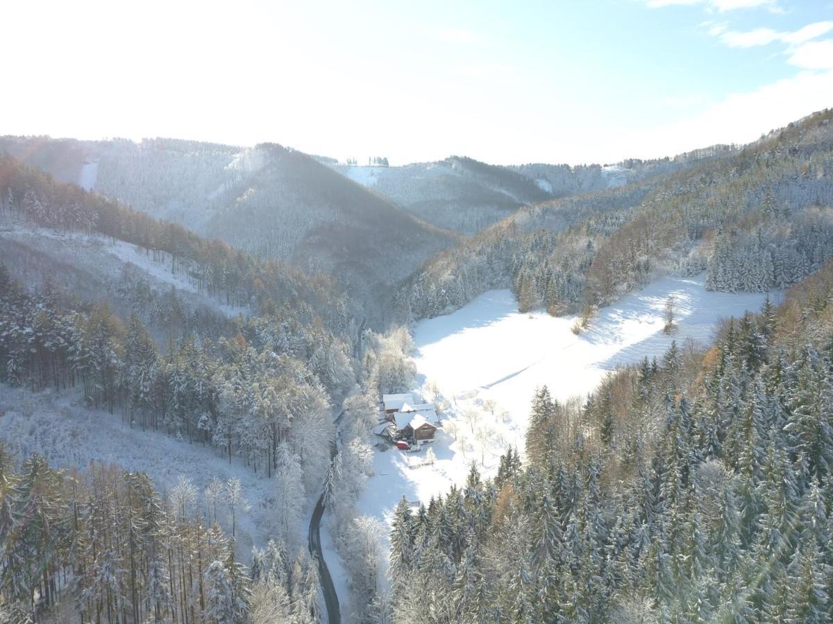 Apartment Urlaub Mitten Im Wald - Lueg Scheibbs