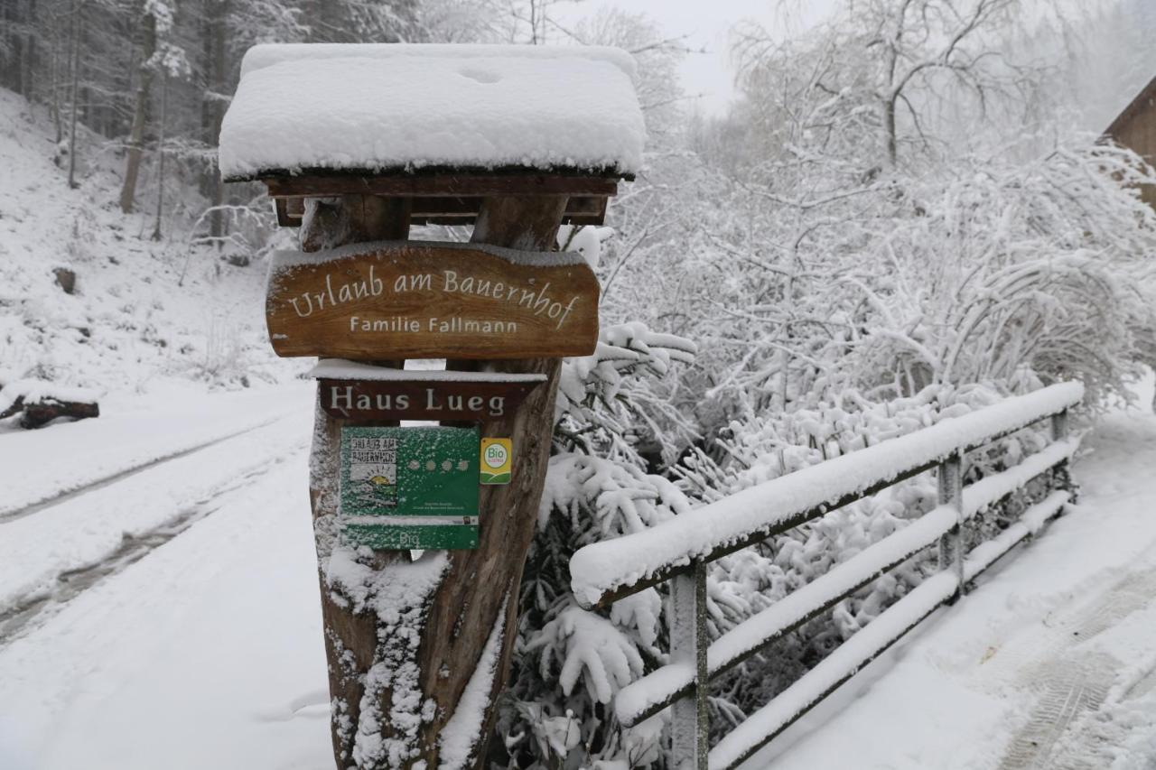 Urlaub Mitten Im Wald - Lueg Apartment Scheibbs
